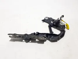 BMW 5 G30 G31 Cerniere del vano motore/cofano 7347407