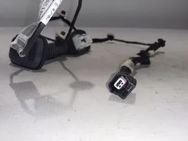 Dacia Sandero Autres faisceaux de câbles 241265837R