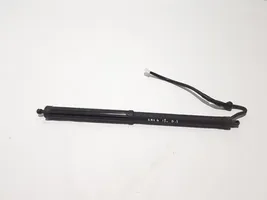 Toyota RAV 4 (XA50) Jambe de force de hayon 6891042080