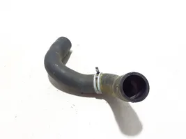 Dacia Sandero Engine coolant pipe/hose 215038971R