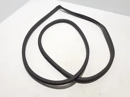 Toyota Land Cruiser (J120) Front door rubber seal 6231260100B0