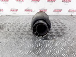 Land Rover Range Rover L322 Aizmugurē gaisa spilvens F2310245