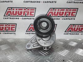 Audi A3 S3 8V Tendicinghia generatore/alternatore 04L903315A