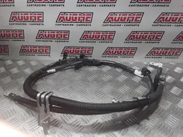 Audi A6 Allroad C8 Câble de batterie positif 4N0971502R