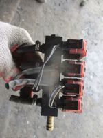 Volvo S80 LP gas injector 110R000040