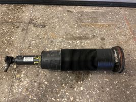 Mercedes-Benz S W221 Air suspension front shock absorber A2213207913