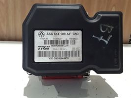 Volkswagen PASSAT B7 ABS Blokas 3AA614109AF