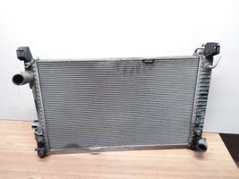 Mercedes-Benz A W169 Radiateur de refroidissement A1695000904