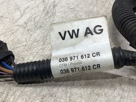 Volkswagen Polo V 6R Engine installation wiring loom 036971612CR