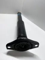 Volvo XC60 Rear shock absorber/damper 8G9118080VBA