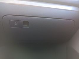 Volkswagen Golf VI Panelės stalčiuko/lentinėlės paklotėlis 