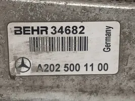 Mercedes-Benz CLK A208 C208 Interkūlerio radiatorius A2025001100