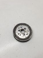 Volkswagen Phaeton Power steering pump pulley 059145255A