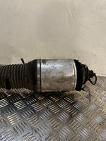 Volkswagen Phaeton Front air suspension shock absorber 3D0616039T