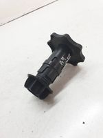 Audi A4 S4 B7 8E 8H Tornillo de la rueda de repuesto 8E9803899