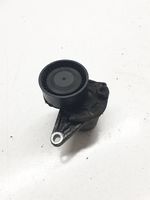 Nissan Qashqai Generatoriaus diržo įtempėjas 117505337R