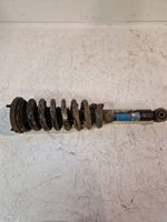 KIA Sorento Front shock absorber with coil spring 814902003344