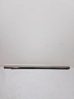 Mercedes-Benz S W220 Front door trim (molding) 