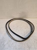 Hyundai Santa Fe Rear door rubber seal (on body) 