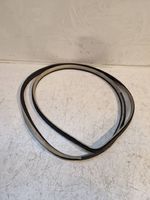 Hyundai Santa Fe Rear door rubber seal (on body) 