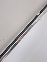 Mercedes-Benz C W204 Rivestimento portiera posteriore (modanatura) 