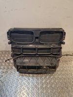 BMW X6 E71 Radiatoriaus oro nukreipėjas (-ai) 7195273