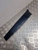 Ford S-MAX Front door glass trim molding 6M21R20898