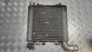 Hyundai Santa Fe Chłodnica powietrza doładowującego / Intercooler 