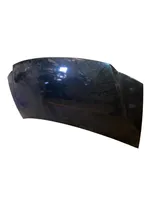 Chrysler Voyager Engine bonnet/hood 