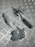 Nissan Juke I F15 Cerniere del vano motore/cofano 35314