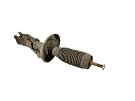 Opel Insignia A Front shock absorber/damper 