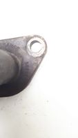 Volkswagen Golf IV Tubo flessibile servofreno 0381315210