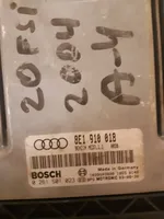 Audi A4 S4 B6 8E 8H Блок управления двигателя 8E1910018