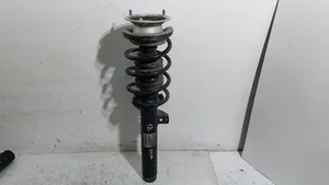 BMW X1 E84 Front shock absorber/damper 6789574