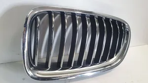 BMW 5 F10 F11 Fender grill 7412323