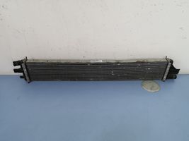 Renault Master III Radiateur de refroidissement 214C10001R