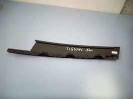 Volkswagen Tiguan Front door glass trim molding 5NA837901C