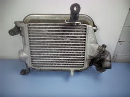 Isuzu Trooper Chłodnica powietrza doładowującego / Intercooler 8943824782