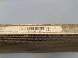 Mercedes-Benz Sprinter W907 W910 Radiatore di raffreddamento A/C (condensatore) A9065000454