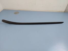 BMW X1 F48 F49 Front door rubber seal 51317350609