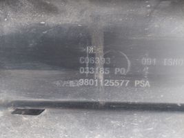 Peugeot 2008 I Puskuri 9801125577