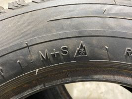 Citroen Xsara R14 winter tire COLINS