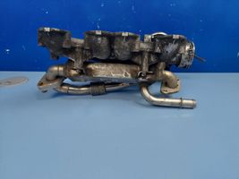 Ford Galaxy EGR-venttiili/lauhdutin 038131513L