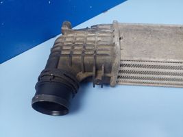 Seat Alhambra (Mk1) Radiatore intercooler 132002748A