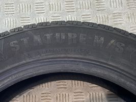 Volkswagen Golf VII R19 winter tire 