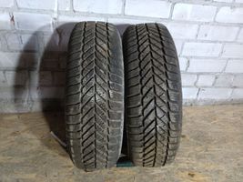 Citroen C3 R15 winter tire 