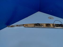 Jaguar S-Type Trunk door license plate light bar 4R8313550AE