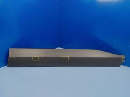 Toyota RAV 4 (XA50) Front door trim (molding) 7507342040