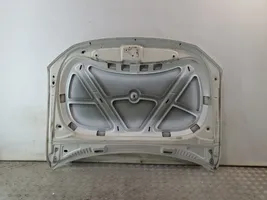 Volkswagen Amarok Motorhaube 