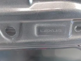 Lexus RX 330 - 350 - 400H Porte arrière 6700348190